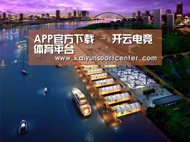 案例展示八