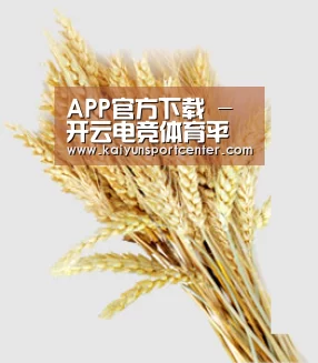 APP官方下载 - 开云电竞体育平台