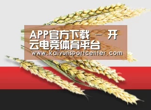 APP官方下载 - 开云电竞体育平台