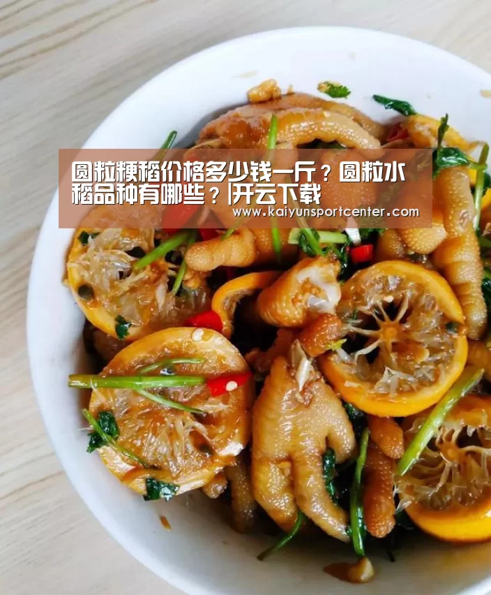 开云下载