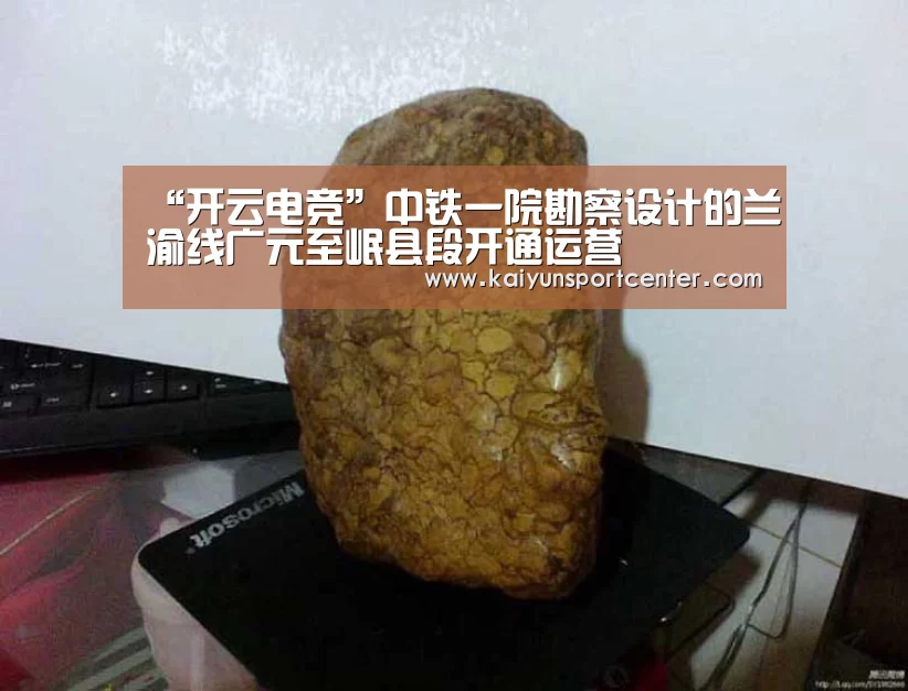 开云电竞