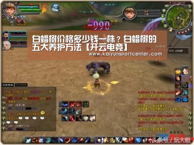 开云体育